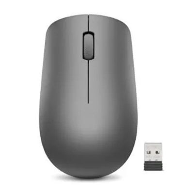 MICE_BO 530 Wireless Mouse L300 (Mice Graphite) (GY50Z49089)