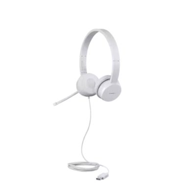 Lenovo 110 Stereo USB Headset Retail (GXD1E71385)